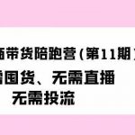 小红书电商带货陪跑营(第11期)无需囤货、无需直播、无需投流