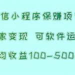 微信小程序保赚项目，日均收益100~500+，独家变现，可软件运营