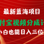 （9939期）最新蓝海项目 支付宝视频频分成计划 小白也能日入三位数