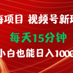 （9813期）蓝海项目视频号新玩法 每天15分钟 小白也能日入1000+