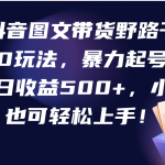 （9790期）抖音图文带货野路子2.0玩法，暴力起号，单日收益500+，小白也可轻松上手！