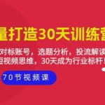 （9782期）实体-流量打造-30天训练营：个人定位，对标账号，选题分析，投流解读-70节