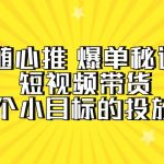 （9687期）随心推 爆单秘诀，短视频带货-超1个小目标的投放心得（7节视频课）