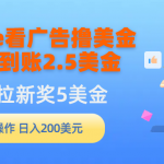 （9678期）Google看广告撸美金，3分钟到账2.5美金，发帖拉新5美金，多号操作，日入…