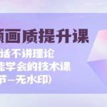 （9659期）短视频-画质提升课，说人话不讲理论，小白也能学会的技术课(21节-无水印)