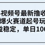 （9651期） 2024视频号最新撸收益技术，爆火赛道起号玩法，收益稳定，单日1000+