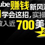 （9647期）2024 YouTube赚钱新风潮！小白学会这招，7天收入近7百美金！