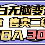 （9637期）小白无脑变现，仅靠售卖二维码，轻松日入300+