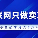 （9623期）互联网的尽头就是卖项目，被割过韭菜的兄弟们必看！轻松月入三万以上！