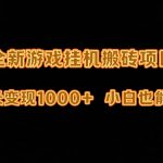 （9580期）最新游戏全自动挂机打金搬砖，一天变现1000+，小白也能轻松上手。