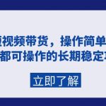 （9563期）快手短视频带货，操作简单易上手，人人都可操作的长期稳定项目!