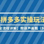 （9559期）2024拼多多实操玩法合集【0-1全流程详解】照葫芦画瓢（9节课）