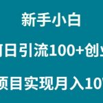 （9556期）新手小白如何通过卖项目实现月入10W+