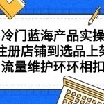 （9527期）拼系冷门蓝海产品实操课程，从注册店铺到选品上架到流量维护环环相扣