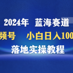 （9515期）2024年蓝海赛道 视频号  小白日入1000+ 落地实操教程