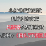 （9487期）小红书短剧赛道，私域引流交易，会复制粘贴，日入500+（附6.7T短剧资源）