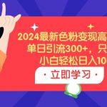 （9480期）2024最新色粉变现高收益技术，单日引流300+，只需搬运，小白轻松日入1000+