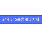 （9398期）2024年315暴力引流方针