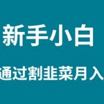 （9308期）新手小白如何通过割韭菜月入 20W