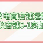 （9249期）小红书电商店铺运营课程，小红书店铺0-1实战教学（60节课）