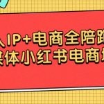 （9233期）个人IP+电商全陪跑营，自媒体小红书电商培训