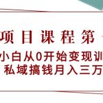 （9227期）教辅项目课程第一期：新手小白从0开始变现训练营  私域搞钱月入三万