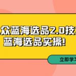 （9189期）拼多多培训第33期：小众蓝海选品2.0技术-蓝海选品实操！