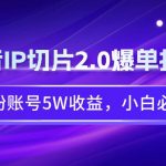 （9132期）抖音IP切片2.0爆单打法，千粉账号5W收益，小白必备