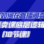 （9103期）教你如何在直播间卖课的语法，直播卖课底层逻辑（10节课）