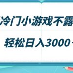 （9094期）最新冷门小游戏不露脸直播，场观稳定几千，轻松日入3000＋