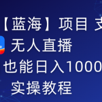 （9084期）2024年【蓝海】项目 支付宝无人直播 小白也能日入1000+  实操教程