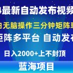 （10166期）2024最新视频矩阵玩法，小白无脑操作，轻松操作，3分钟一个视频，日入2k+