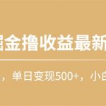 （10163期）快手掘金撸收益最新技术，高收益玩法，单日变现500+，小白必备项目