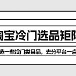 （10159期）淘宝冷门选品矩阵玩法：换种玩法，选一些冷门类目品，去分平台一点羹