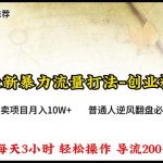 （10151期）2024年最新暴力流量打法，每日导入300+，靠卖项目月入10W+