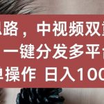 新思路，中视频双重去重，一键分发多平台，简单操作，日入1000+