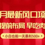 （10137期）28.4月最新风口项目，提前布局早吃肉，小白也能一天暴利500+