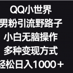 QQ小世界男粉引流野路子，小白无脑操作，多种变现方式轻松日入1000＋