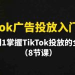 TikTok广告投放入门教程，从0到1掌握TikTok投放的全流程（8节课）