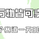 万物皆可卖，小红书这个赛道不容忽视，实操一天300！