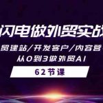 AI闪电做外贸实战课，外贸建站/开发客户/内容营销/从0到3做外贸AI（61节）