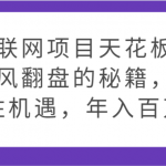 互联网项目天花板，逆风翻盘的秘籍，抓住机遇，年入百万