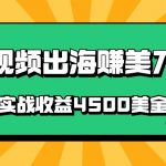 国内爆款视频出海赚美刀，实战收益4500美金，批量无脑搬运，无需经验直接上手