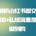 全面解析小红书图文引流日引100+私域流量是怎样做到的