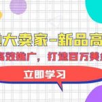 亚马逊大卖家新品高效推广，分享如何高效推广，打造百万美金爆款单品