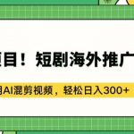 蓝海项目!短剧海外推广赚美金，利用AI混剪视频，轻松日入300+