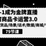 0-1成为金牌直播橱窗商品卡运营3.0，基础/货品/场景/话术/数据/商城/千川