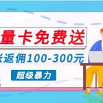 流量卡免费送，一张返佣100-300元，超暴力蓝海项目，轻松月入过万！