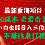 （10117期）最新蓝海项目 闲鱼0成本 卖爱奇艺会员 小白也能入三位数 不赚钱来打我