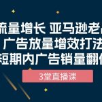 （10112期）流量增长 亚马逊老品广告放量增效打法，短期内广告销量翻倍（3堂直播课）